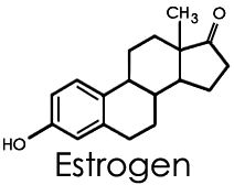 Эстроген