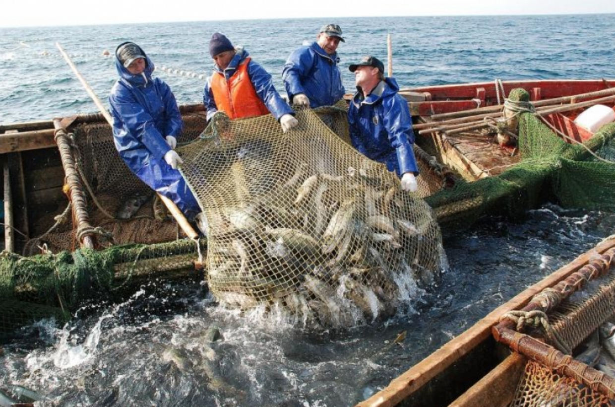 Промысловый лов рыбы